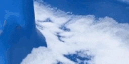 WINTER emote