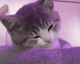 otdih emote
