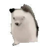 bestaPls emote