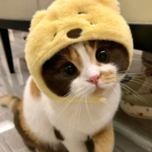 benniethepuh avatar