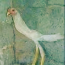 Chokn emote