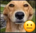 laugh emote