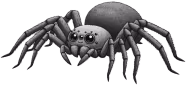 Scary_spider emote