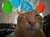 happyBUHrday emote