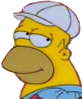 homer static emote