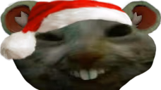 chomik emote