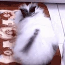 dupa emote