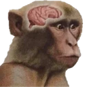 NeuronActivation emote