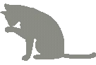 Graykitten emote