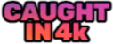 caughtin4k_IDS emote