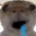 brainrot emote