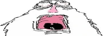 Ogony emote