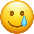 Smiling_Face_with_Tear emote