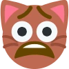 live_cat_reaction emote