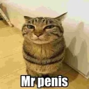 mrpenis emote
