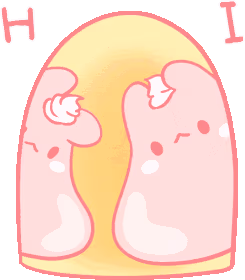rabbit_hi emote