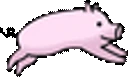 runpig emote