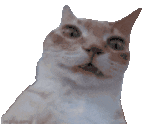 Uhhh animated emote