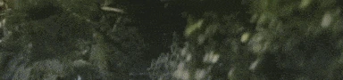 ROTK emoji