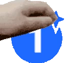 PETTHEBELIEVERS emote
