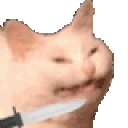 catstab emote