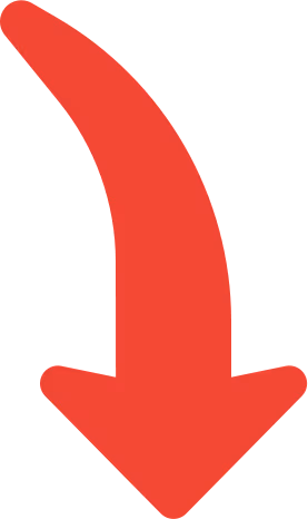 SETA_ZE emote