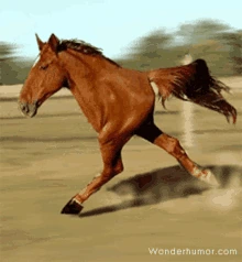 HORSE emoji