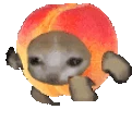 Peachcatrun emote