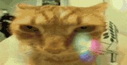 juh emote