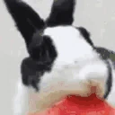 VeryPog emote