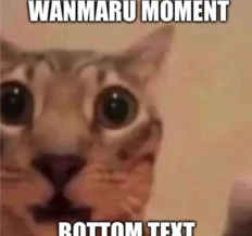 WanmaruMoment emote