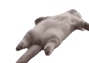stretch emote