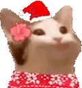 popCat emote