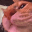 ongang emote
