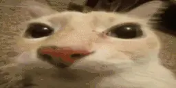 otagCurse emote