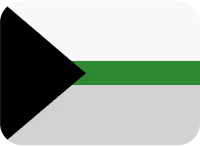 demiromantic_flag emote
