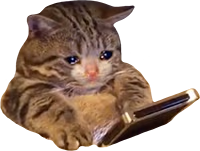 sadcat emote