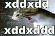xddxdd emote