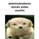 administradoresAuxilio emote