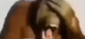 nmmswey emote