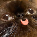 blep emote