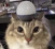 ALERT emote