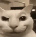FREAKY emote