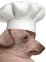 creatureCook static emote