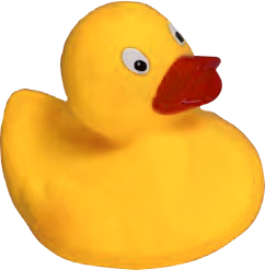 Duck emote