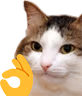 kiisu_ok emote