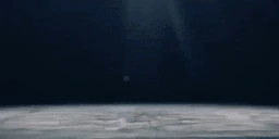 zavtra emote