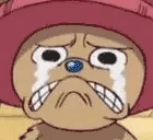 ChopperGRUCNOBLINA emote