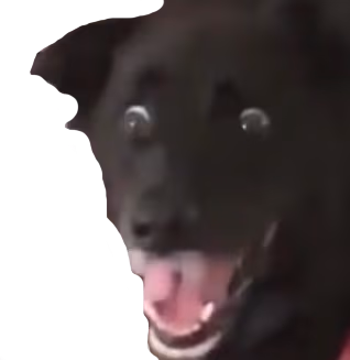 DogScared emote