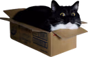 maxwellboxsideeye emote